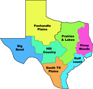 Texas Security Service Locations