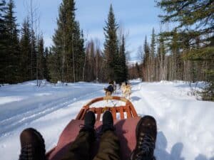 Dog Sledding in Alaska